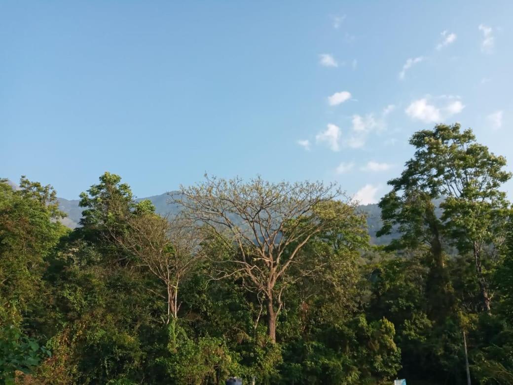 Villa Wayanad Snow Vibes Vythiri Exterior foto